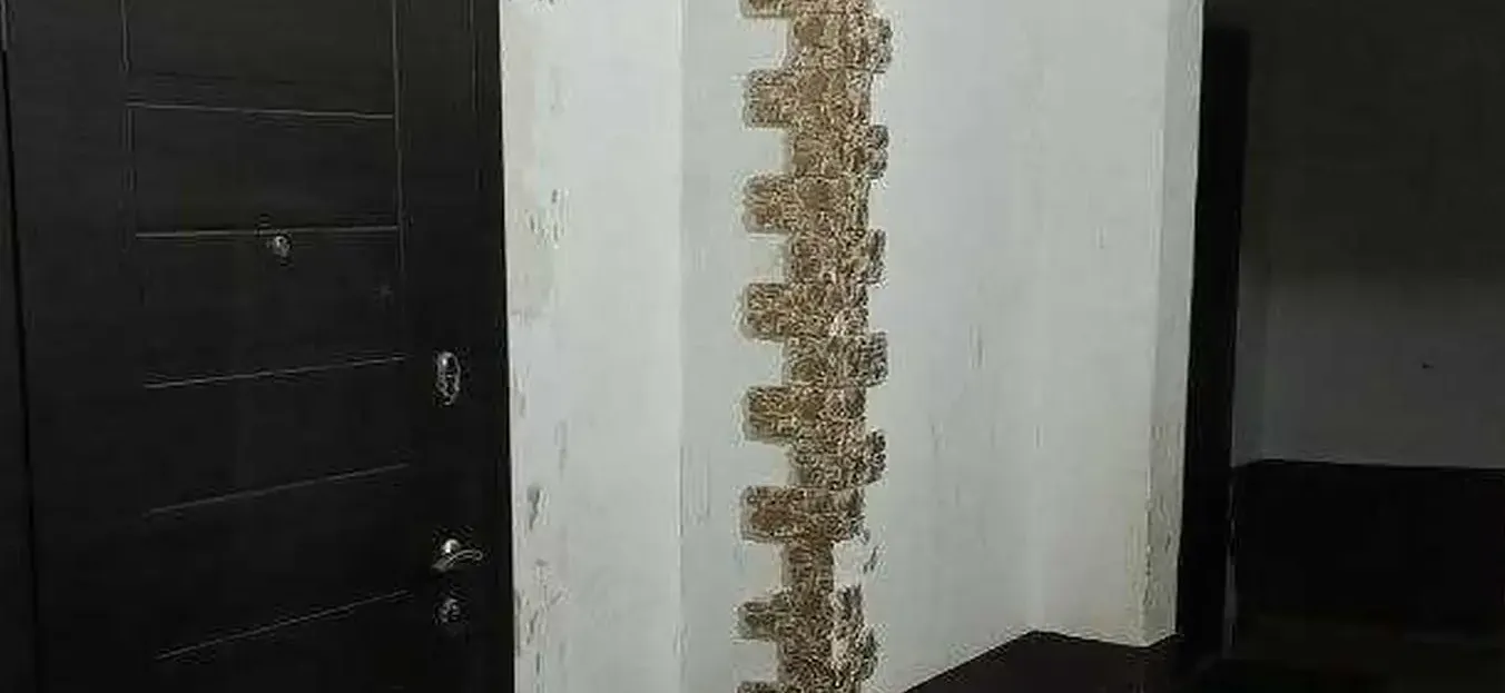 3-комн. квартира, 8 этаж, 61 м², Фирдавси