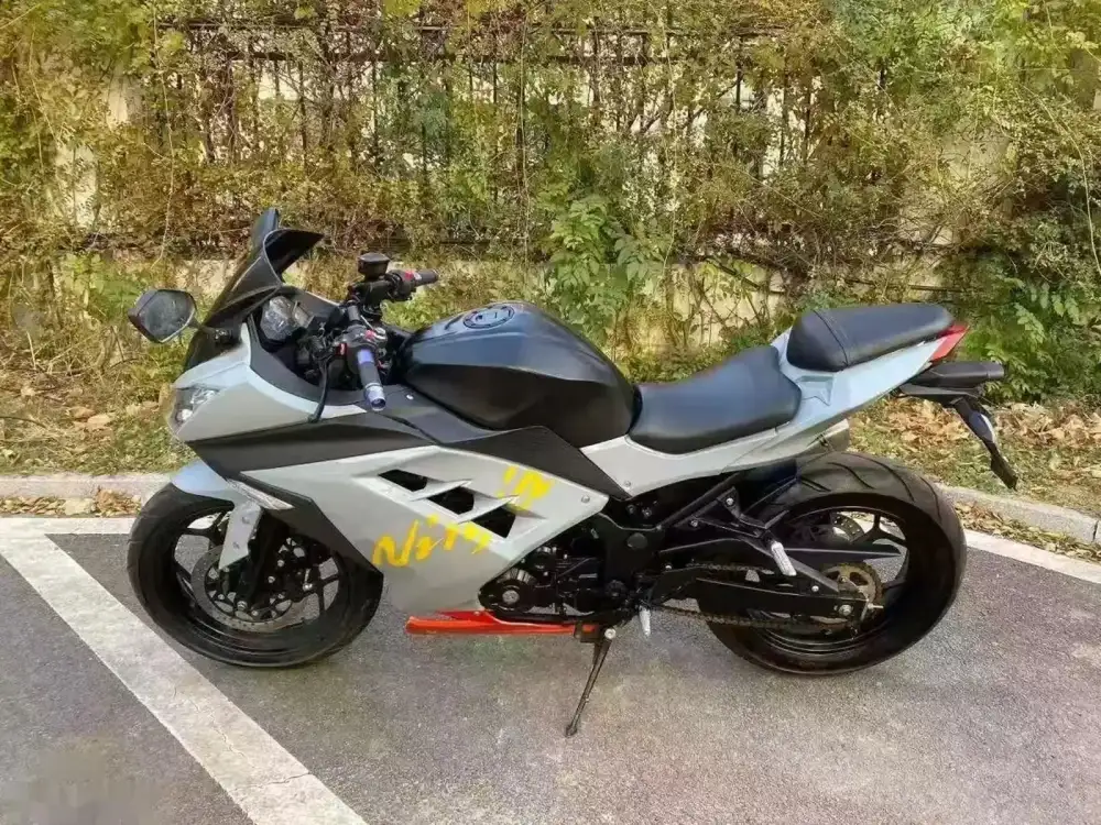 Мотоцикл Kawasaki Ninja — фото 4