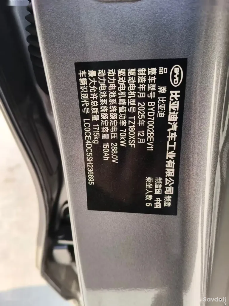 BYD E2, 2025