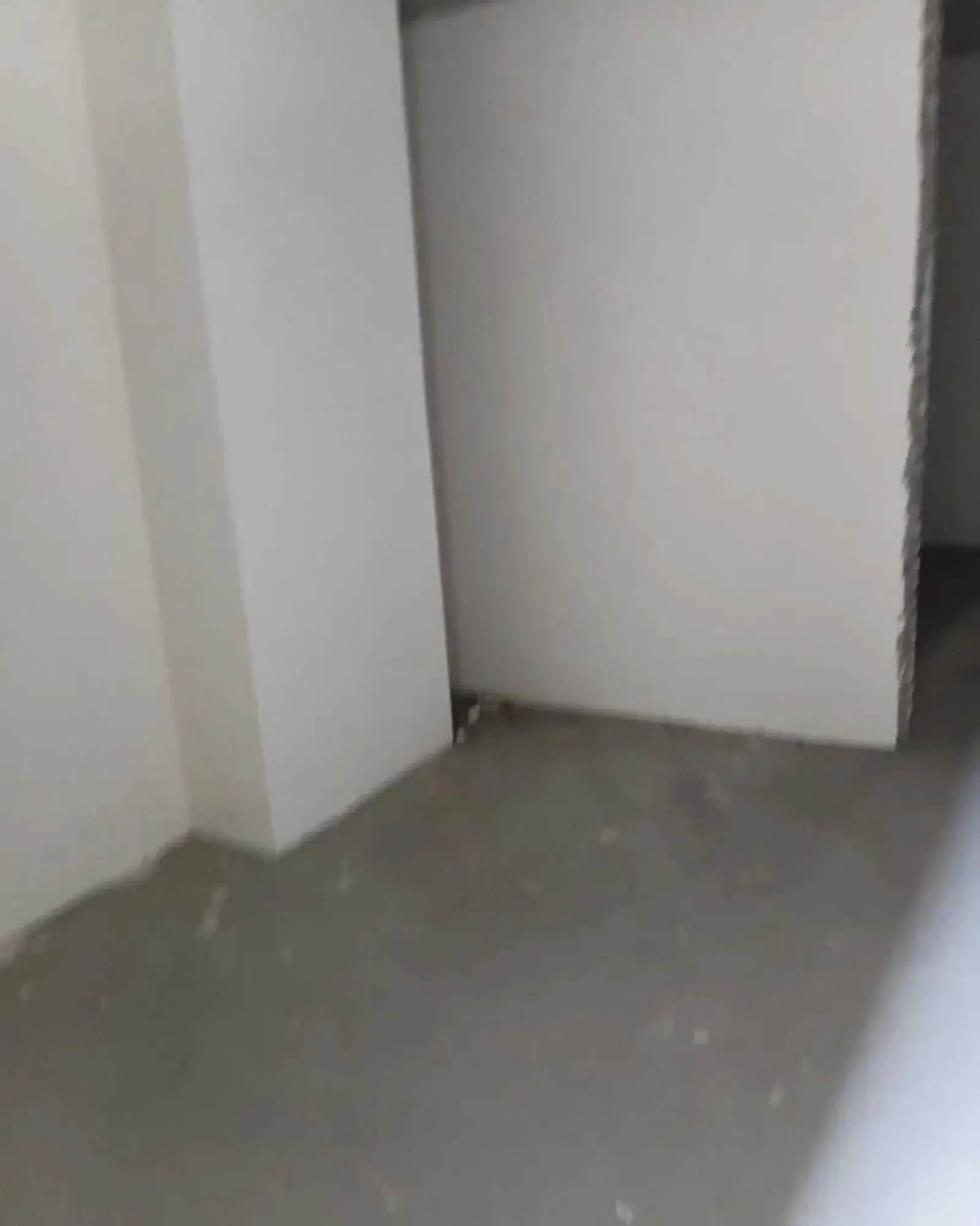 1-комн. квартира, 4 этаж, 46 м², Сино