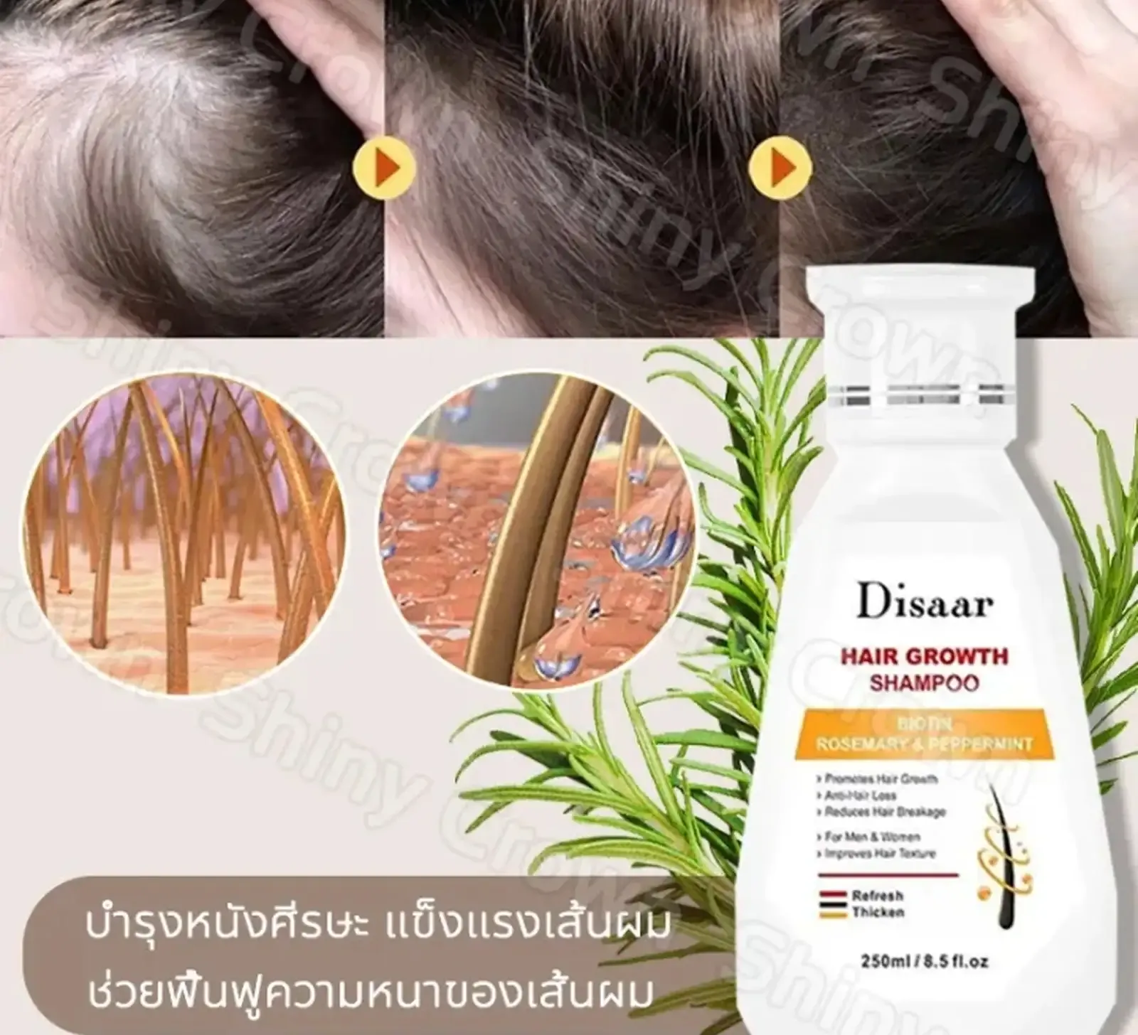 Шампунь Disaar Hair Growth Shampoo с кофеином и экстрактом пальмы сереноа