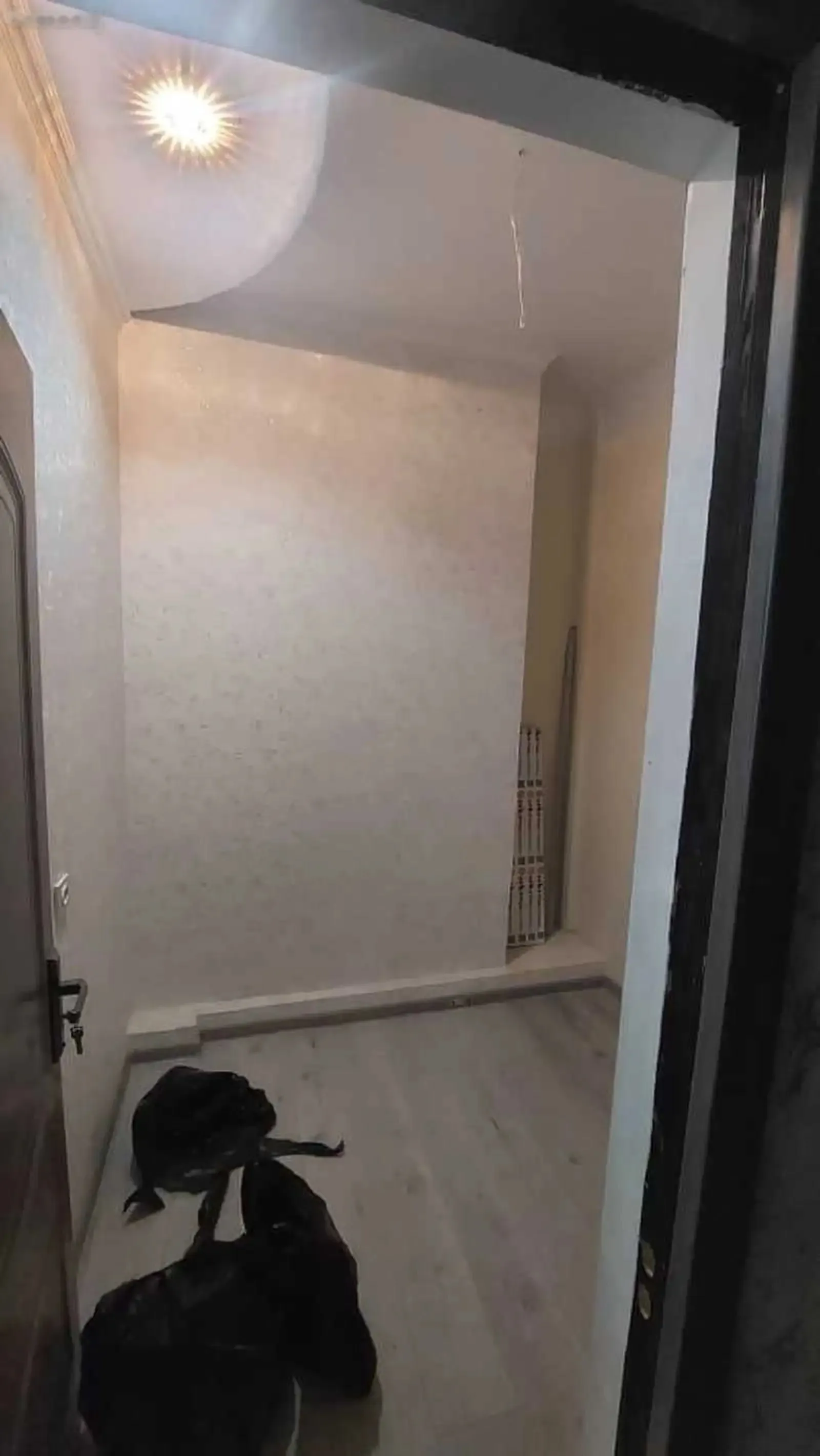 3-комн. квартира, 10 этаж, 73м², Молодёжный