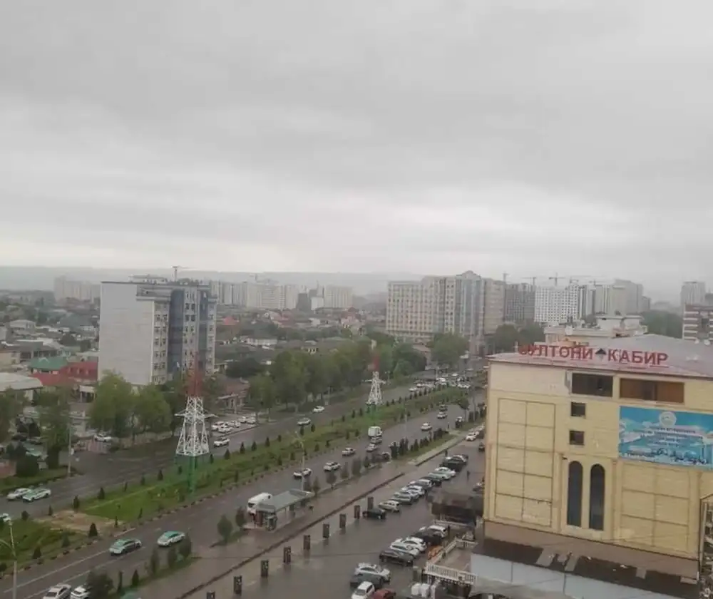 3-комн. квартира, 11 этаж, 75 м², Фирдавси — фото 9