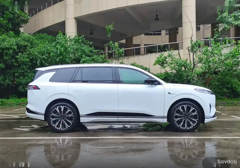 Dongfeng EP 008, 2025