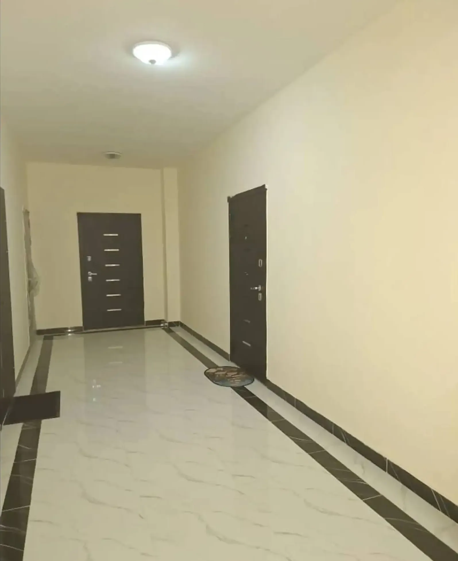 2-комн. квартира, 5 этаж, 50 м², Сино, Профсоюз