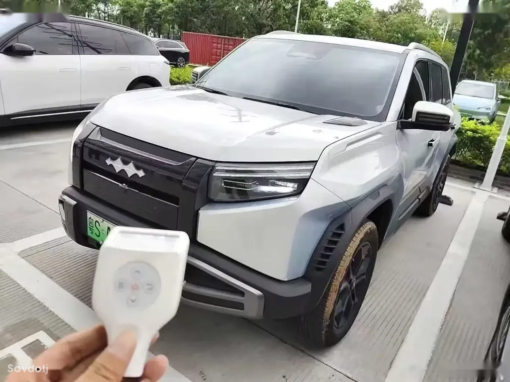 BYD Leopard 3, 2025
