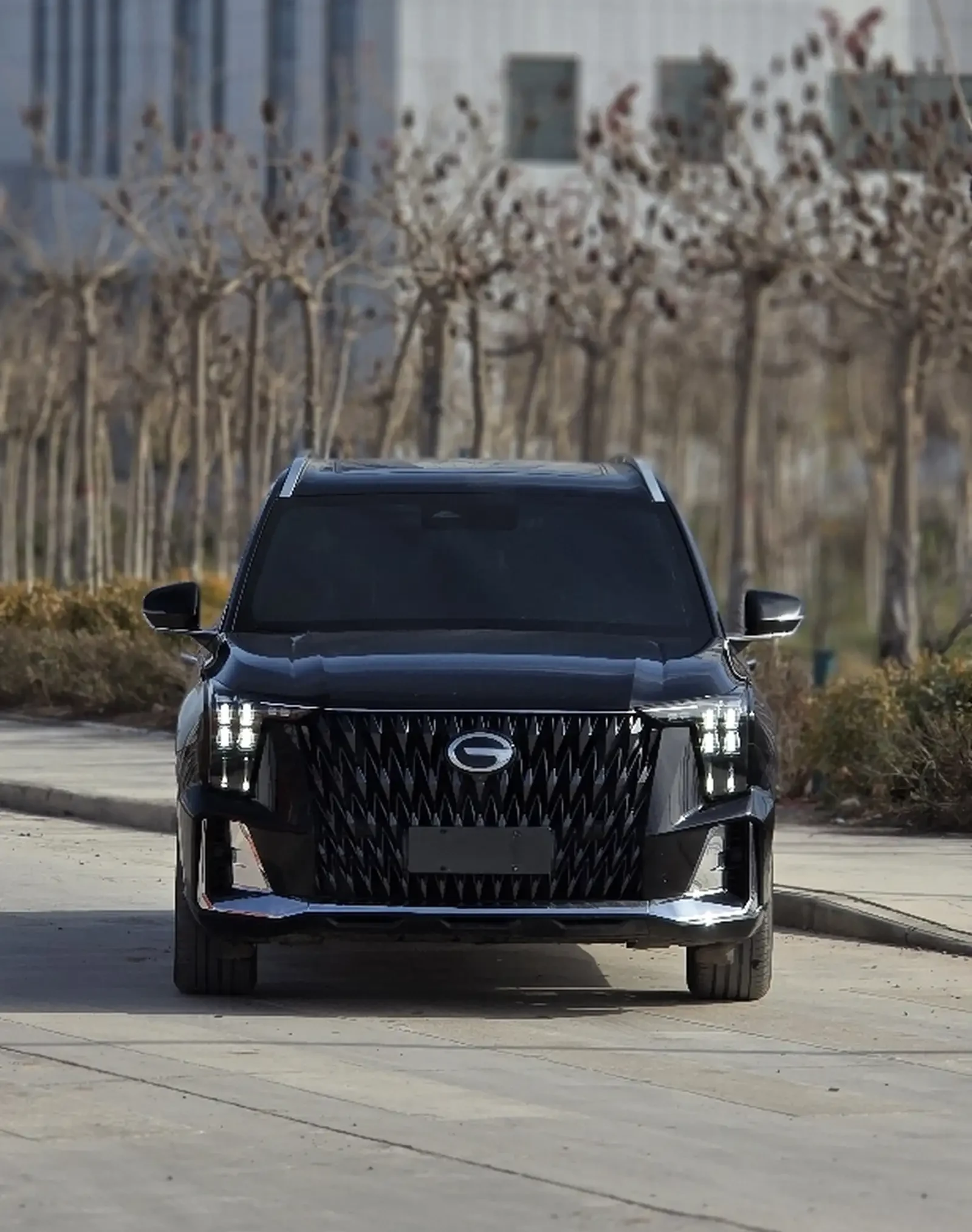 GAC Trumpchi GS8, 2022