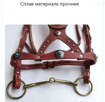 Уздечка — миниатюра 2