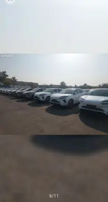 BYD Sea Lion 06, 2025