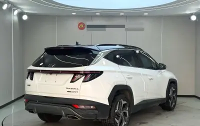Hyundai Tucson, 2021 — миниатюра 1