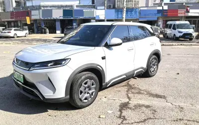 BYD Yuan Up, 2025