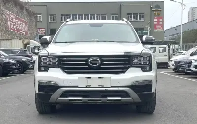 GAC Trumpchi GS8, 2017 на заказ