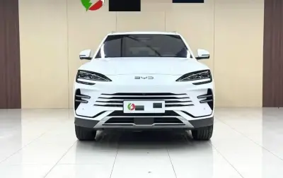 BYD Song Plus, 2025 — миниатюра 7