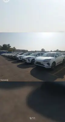 BYD Sea Lion 06, 2025