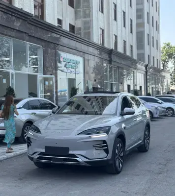 BYD Song Plus, 2025 — миниатюра 7