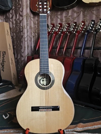 Гитара Luxars APL 860SS — миниатюра 1