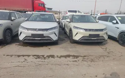 BYD Yuan Up, 2026