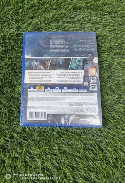 Игра The Dark Pictures Anthology Man Of Medan для Playstation — миниатюра 2