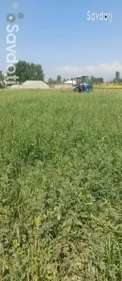 преси рушка
