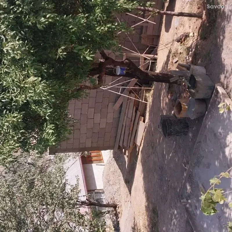 14 сотик замин 2 дар хонаи таер ва навастройка