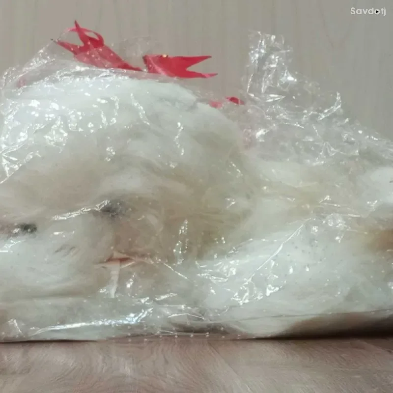 Мягкая плюшевая кошка 