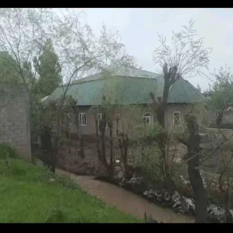 2 этажный, 20-комн. дом, 320 м², 95 соток, Стадиони нав