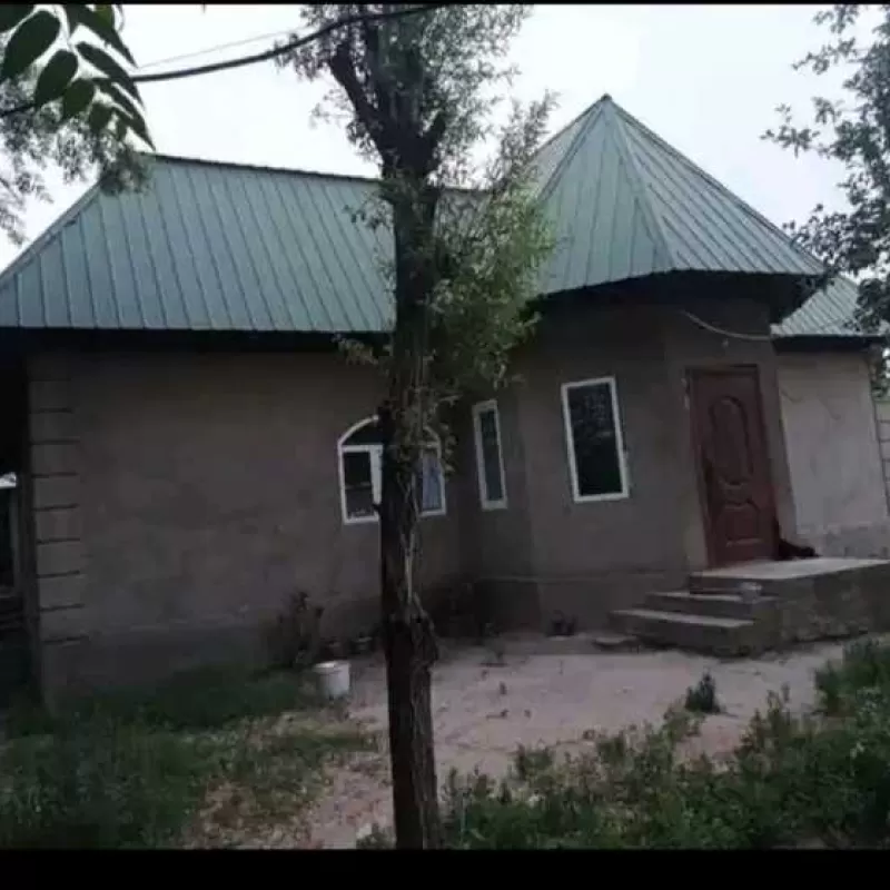 2 этажный, 20-комн. дом, 320 м², 95 соток, Стадиони нав