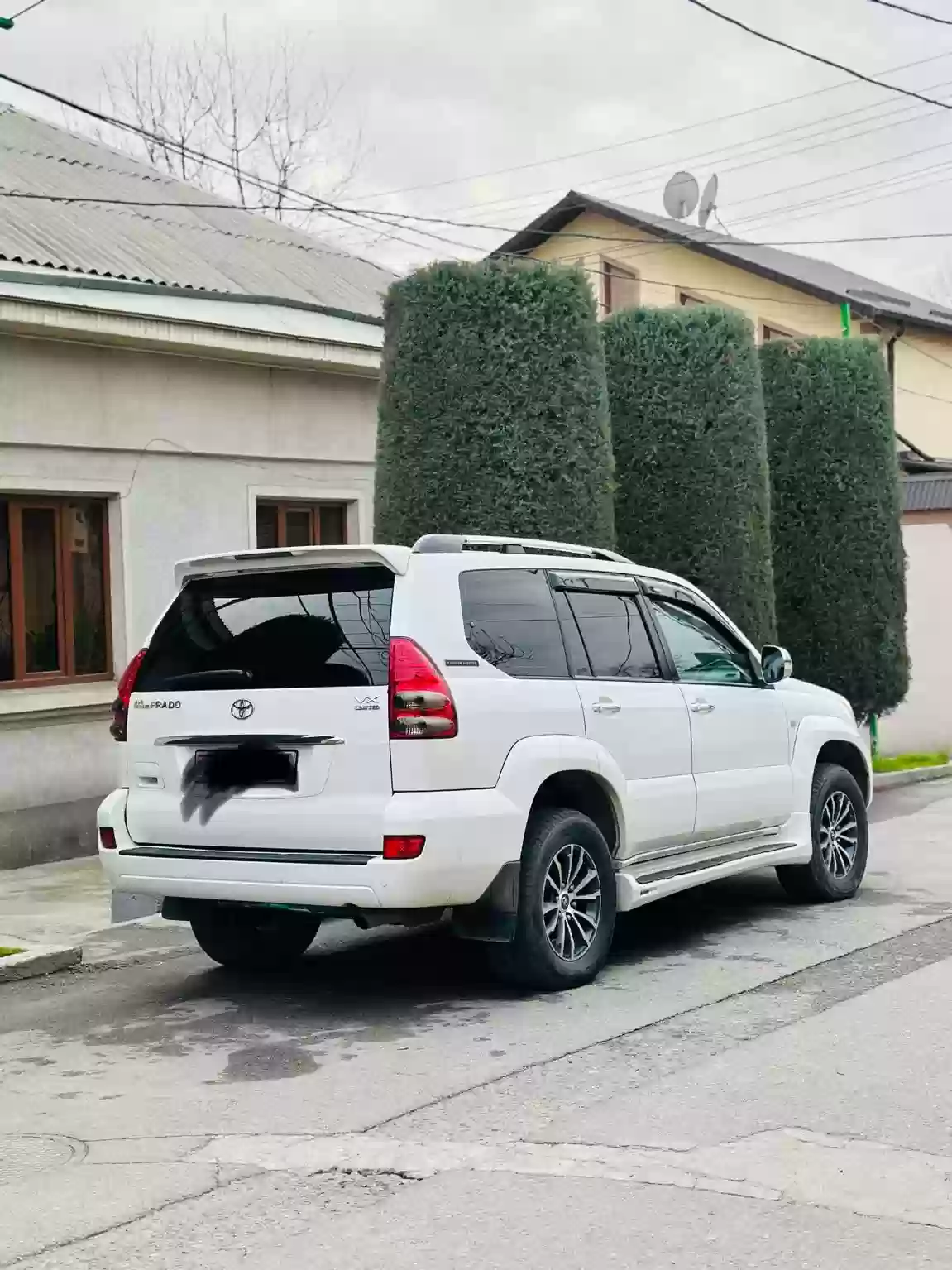 аренда авто с водителем