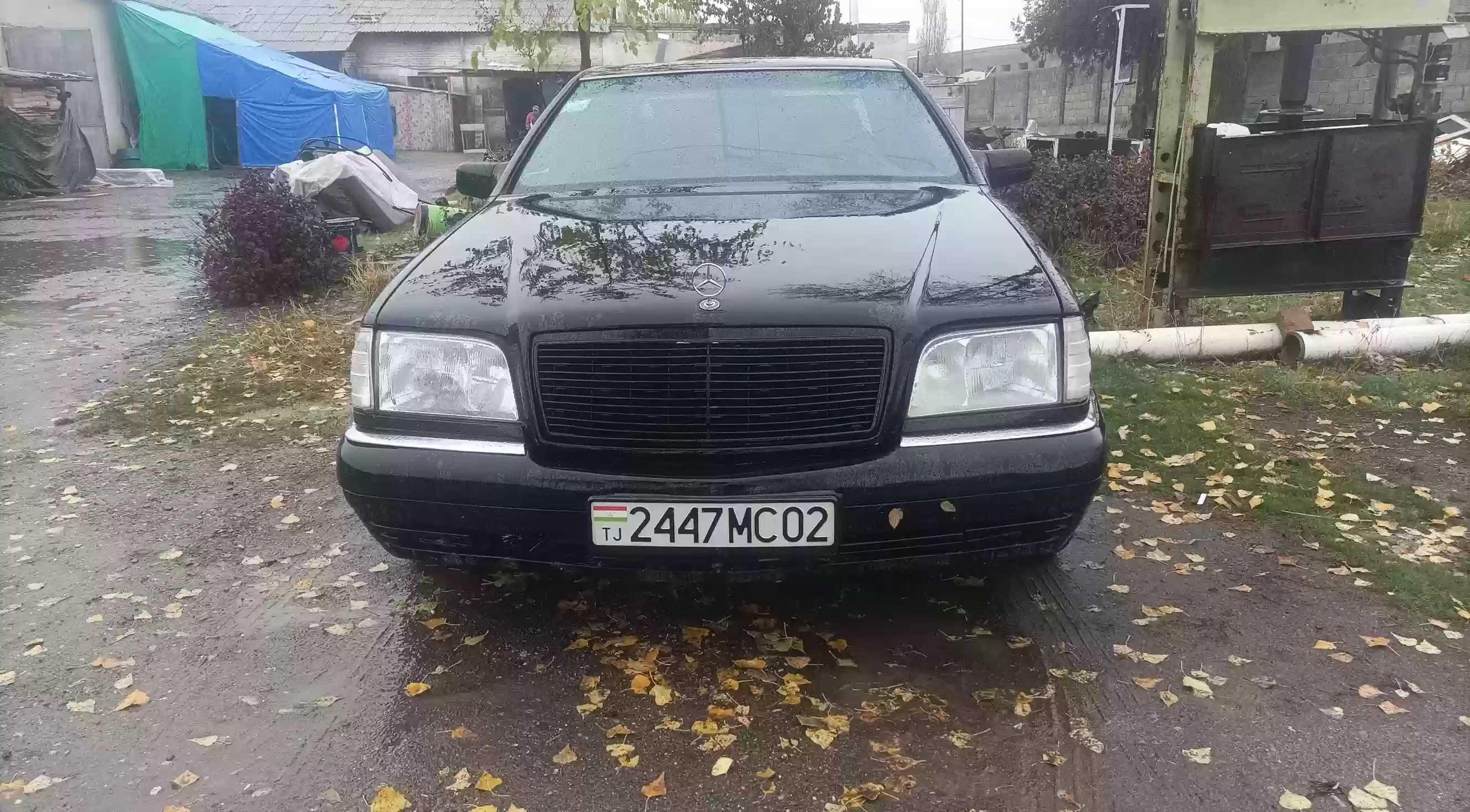 Mercedes-benz S class 1995