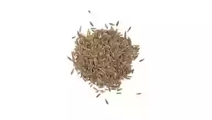 Тухми Газон