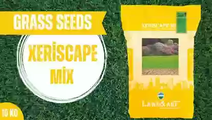 Тухми Газон Xeriscape Mix 