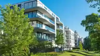 Тухми Газон Dalmau CT7