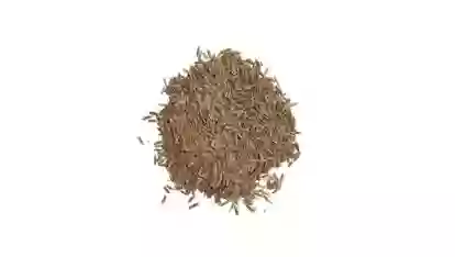 Тухми Газон Canada Green