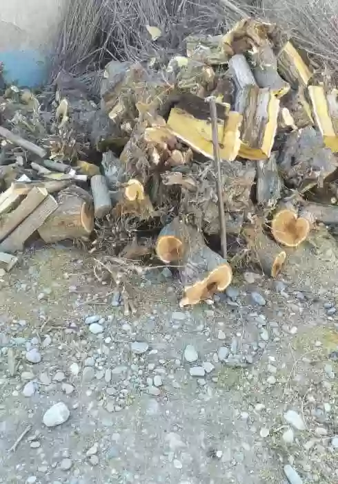 калоки тут