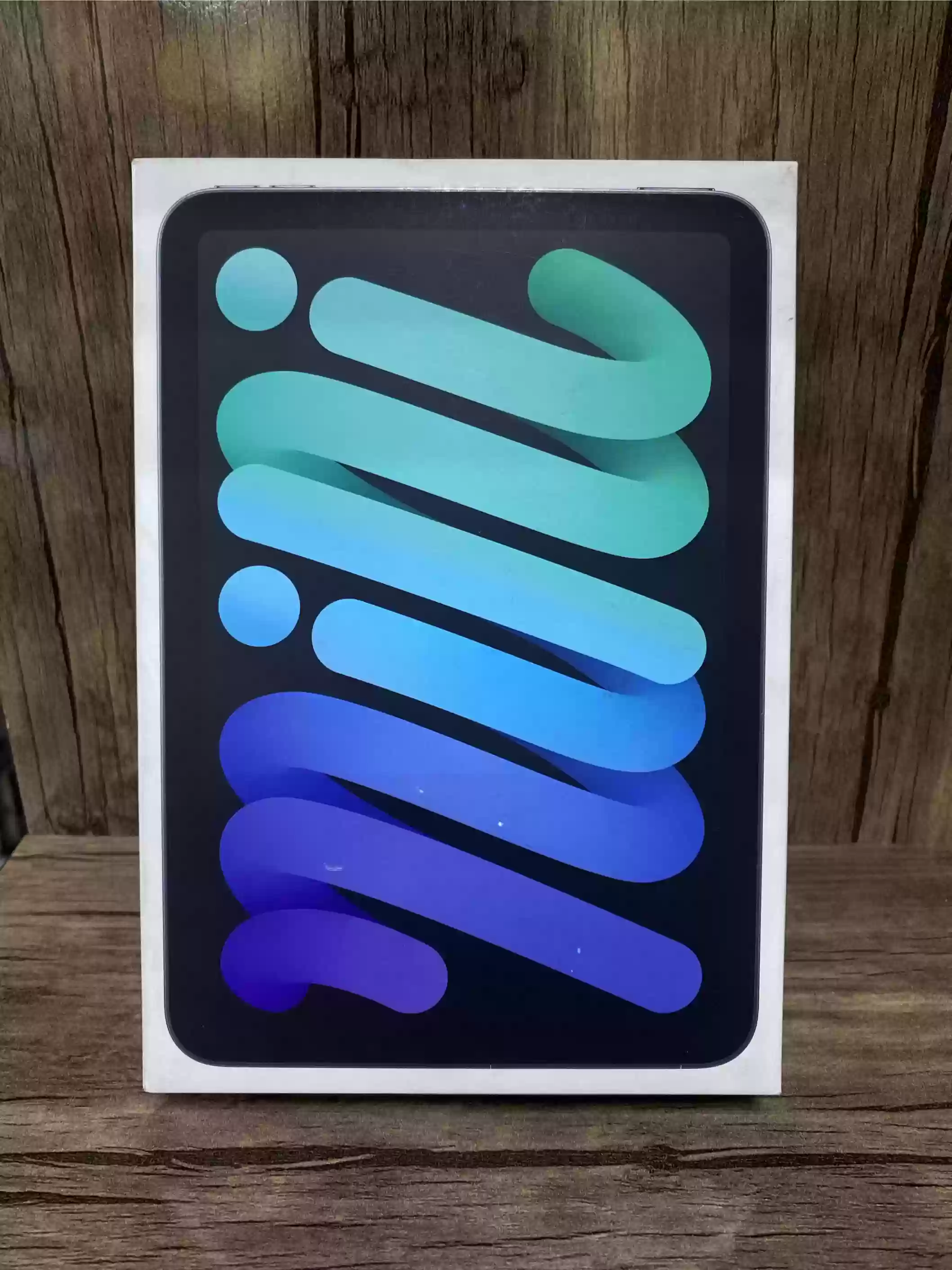 iPad mini 7