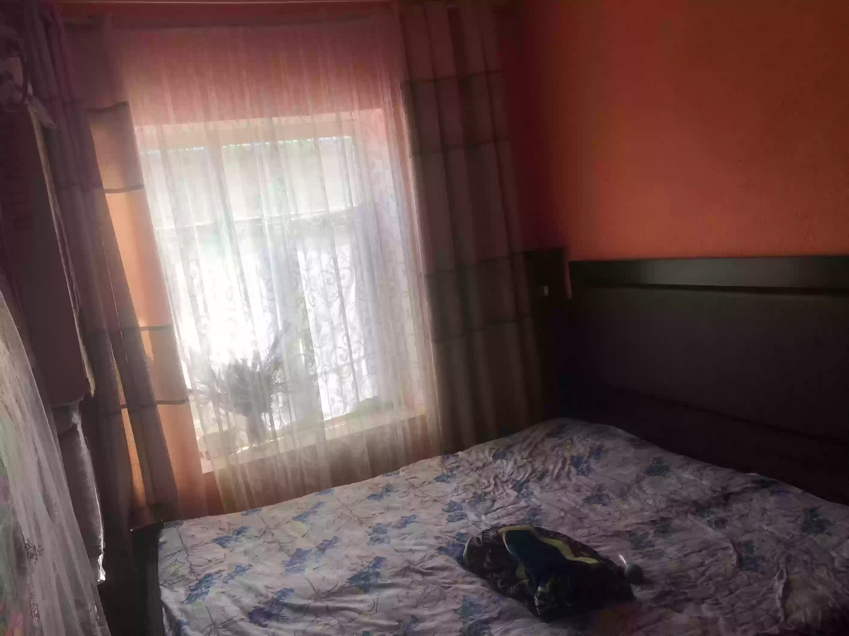 1 этажный, 3-комн. дом, 70 м², 2 соток, истиклол
