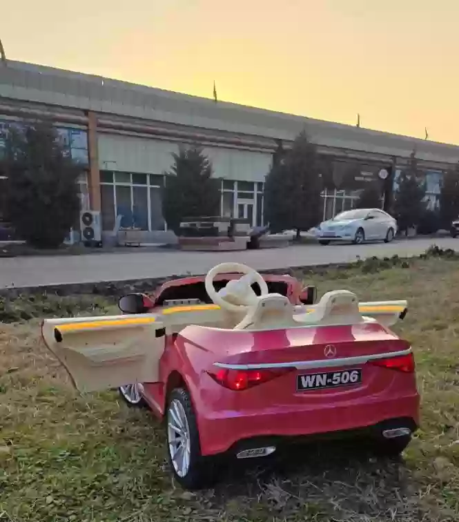 мошинча