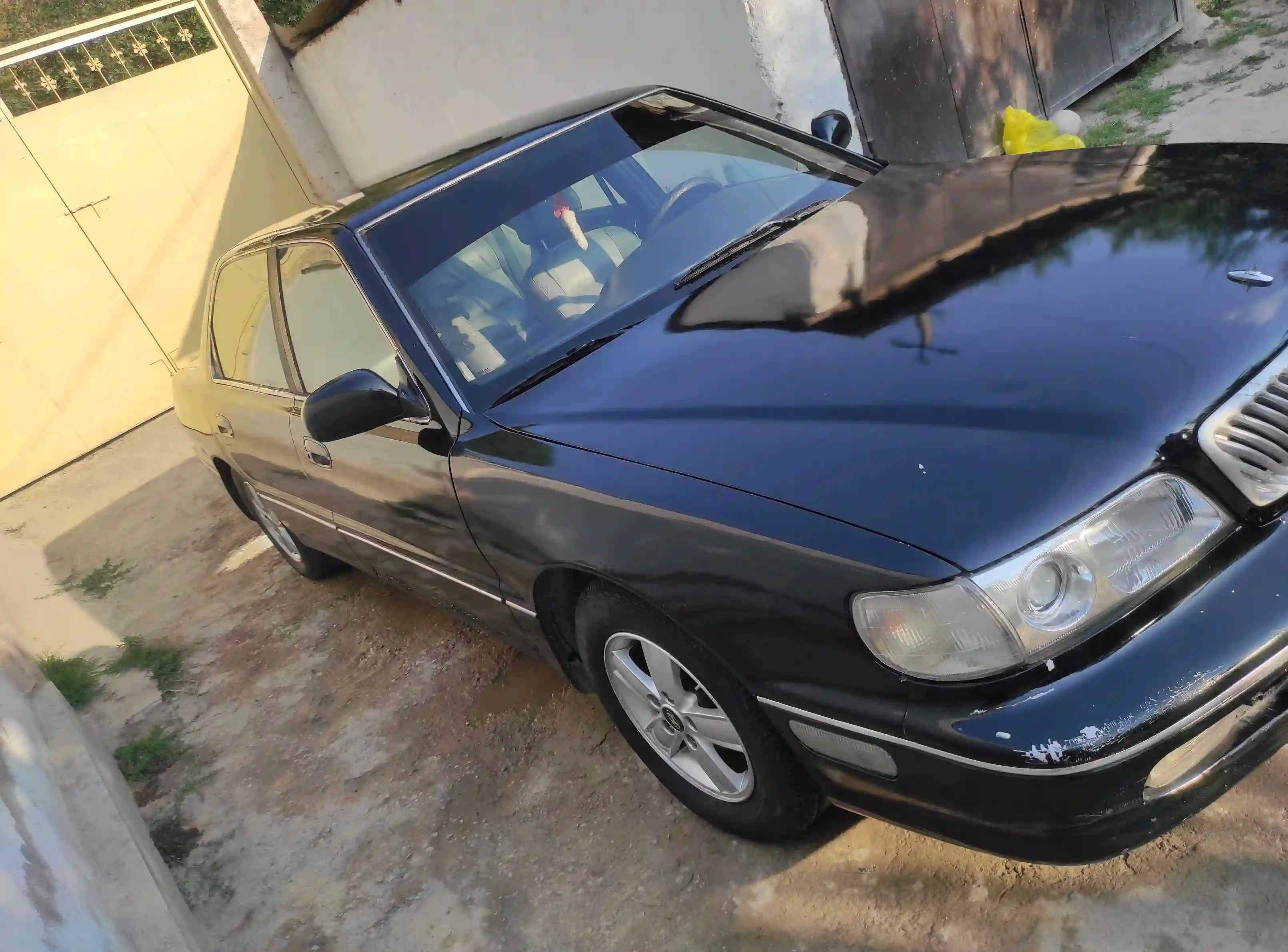 Hyundai Grandeur 1993