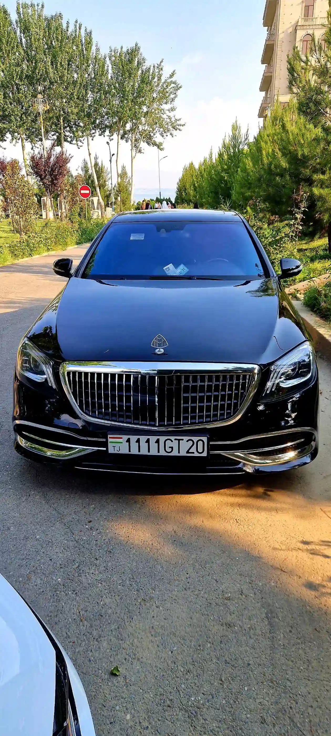 Mercedes-benz S class 2008