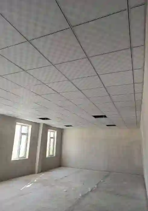 Амстронг потолок Иранский