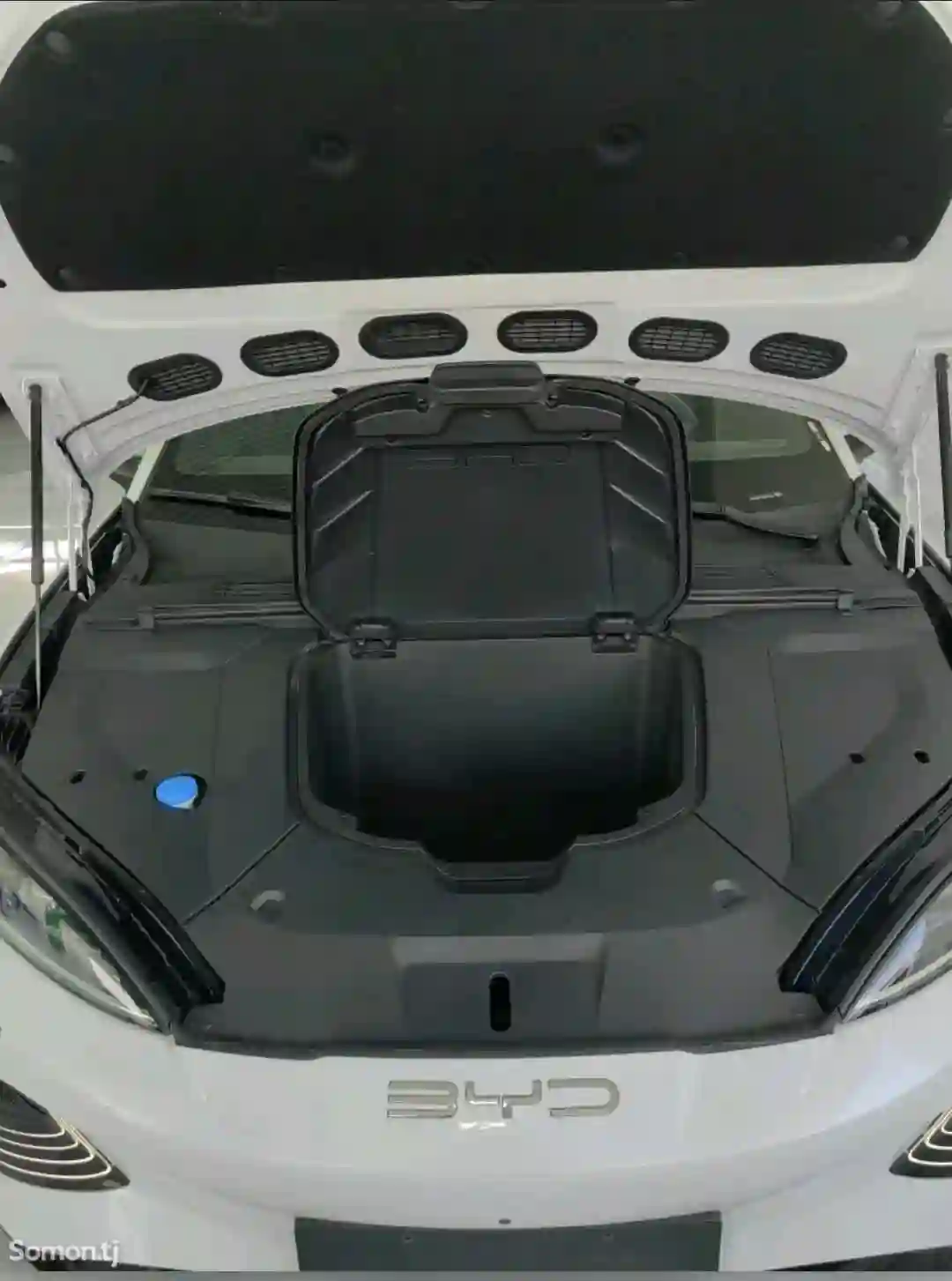 BYD SEA LION