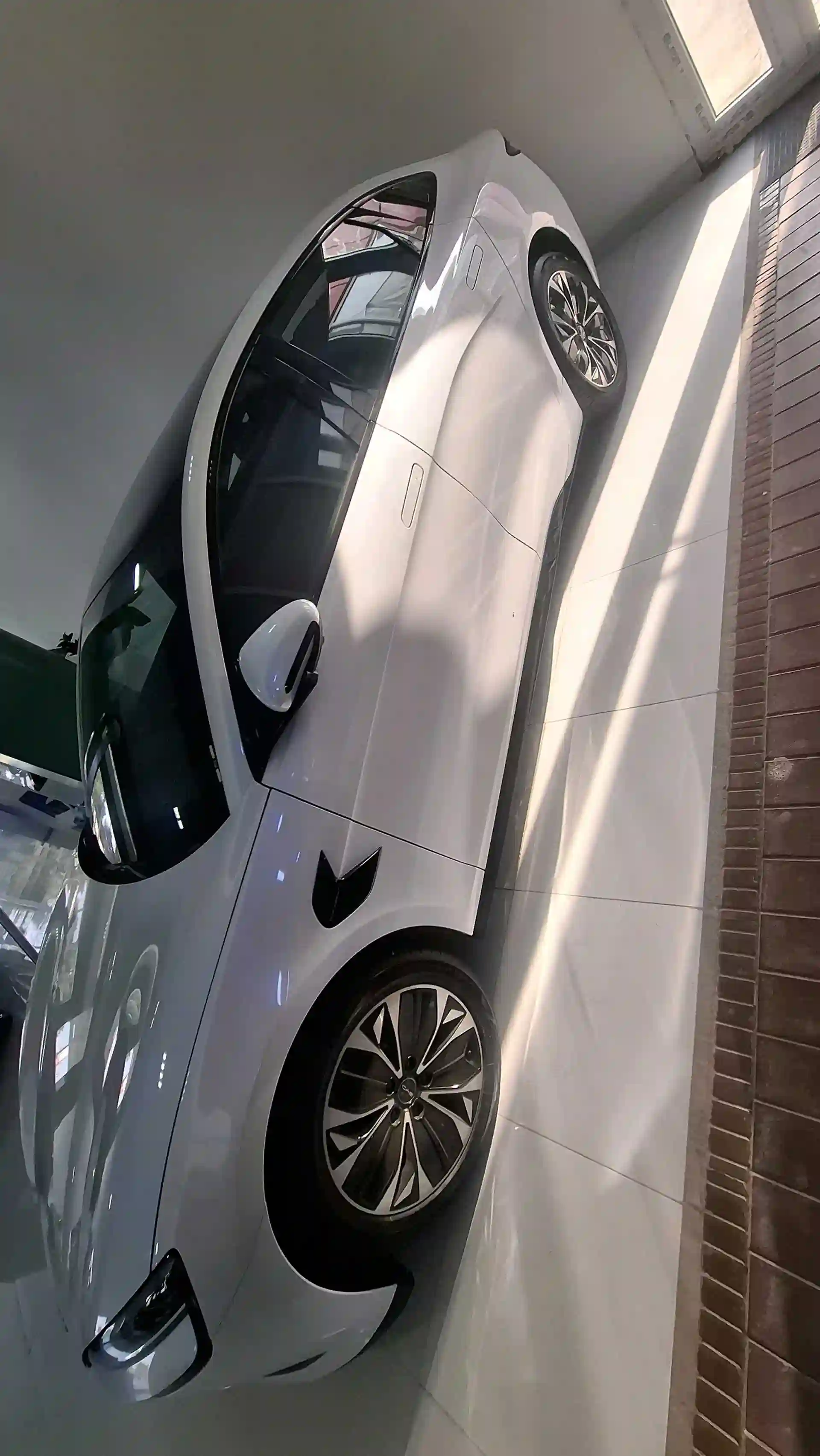 BYD SEA LION