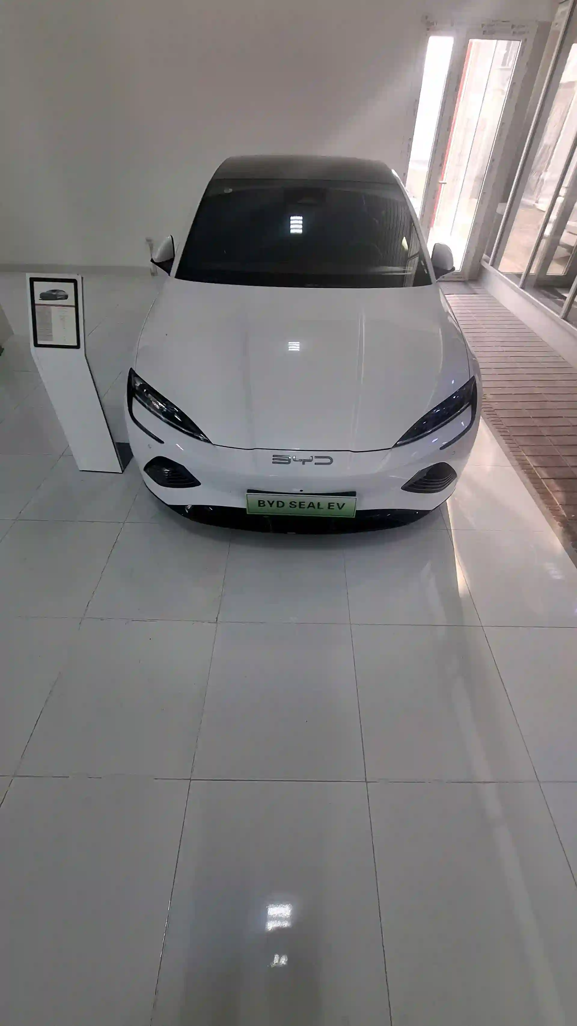 BYD SEA LION