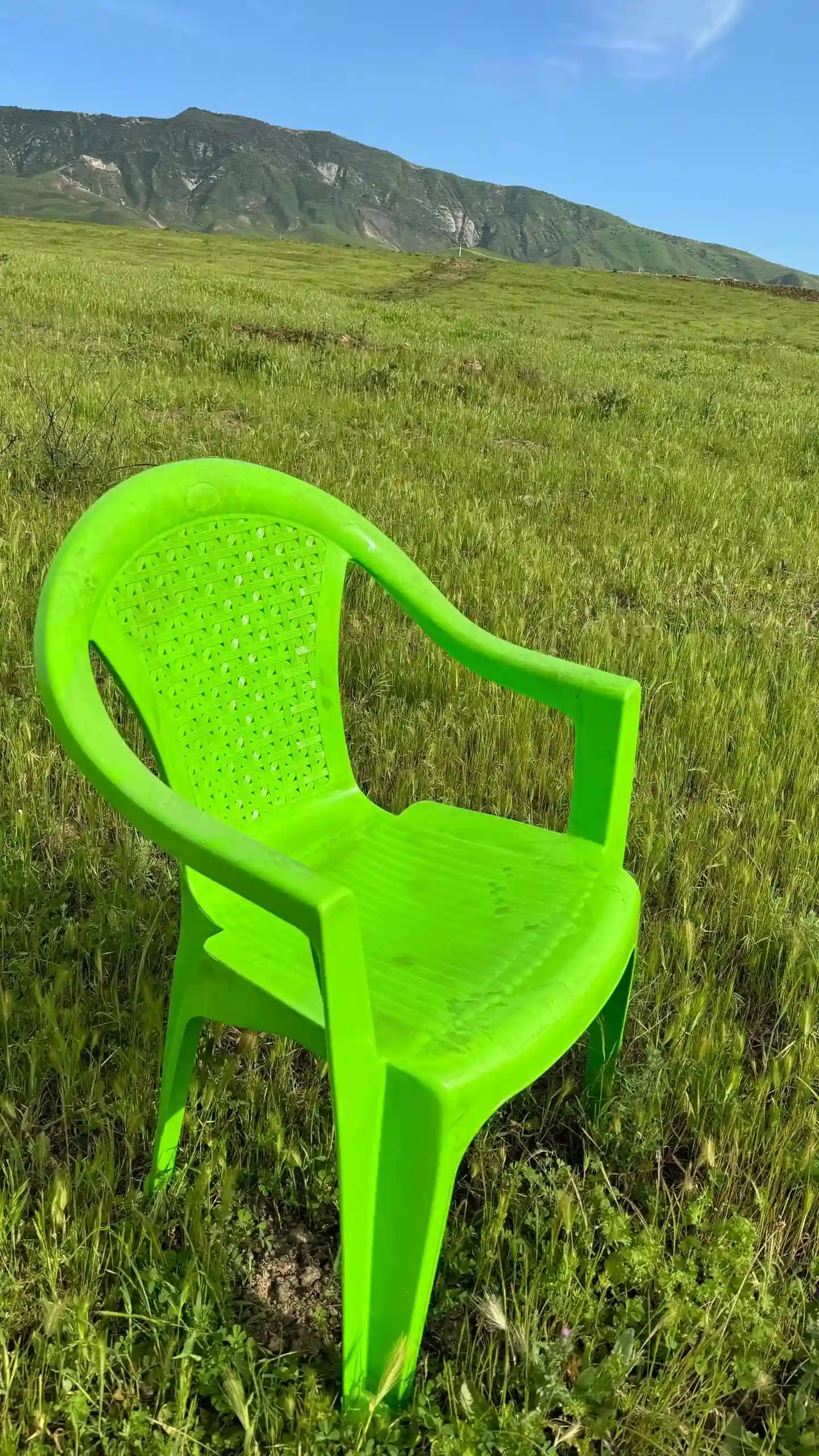 столы и стулья