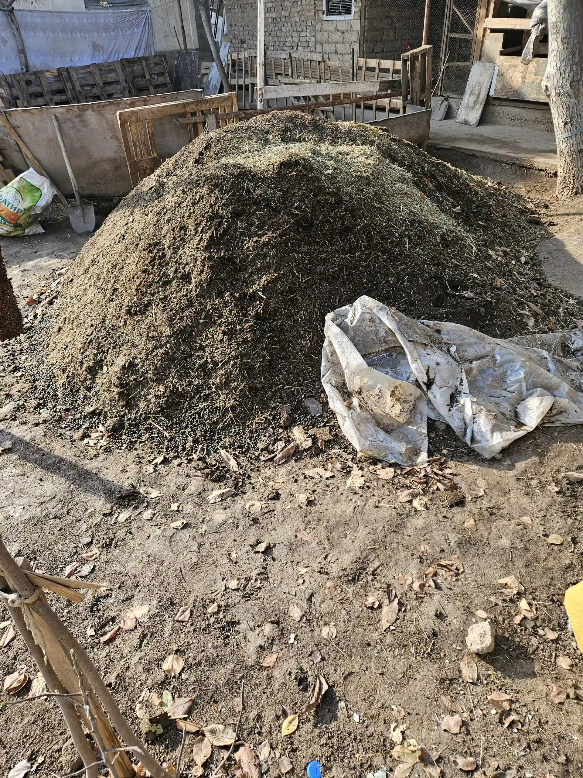 Поруи Гӯсфанд