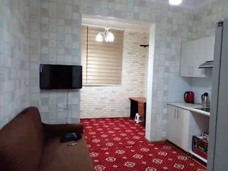 1-к квартира, 4 этаж, 66 м², пас америка — миниатюра 3