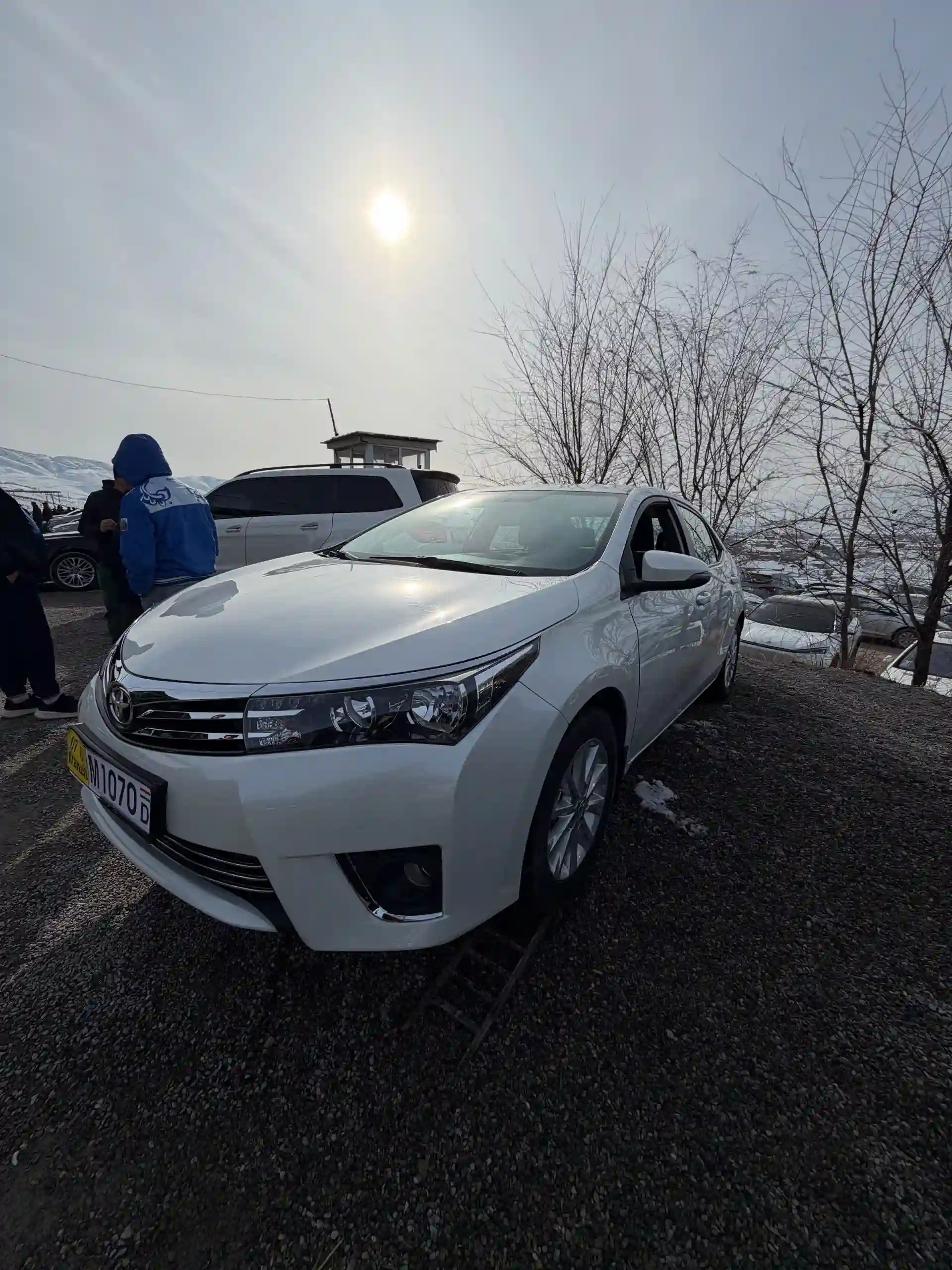 Toyota Corolla 2013