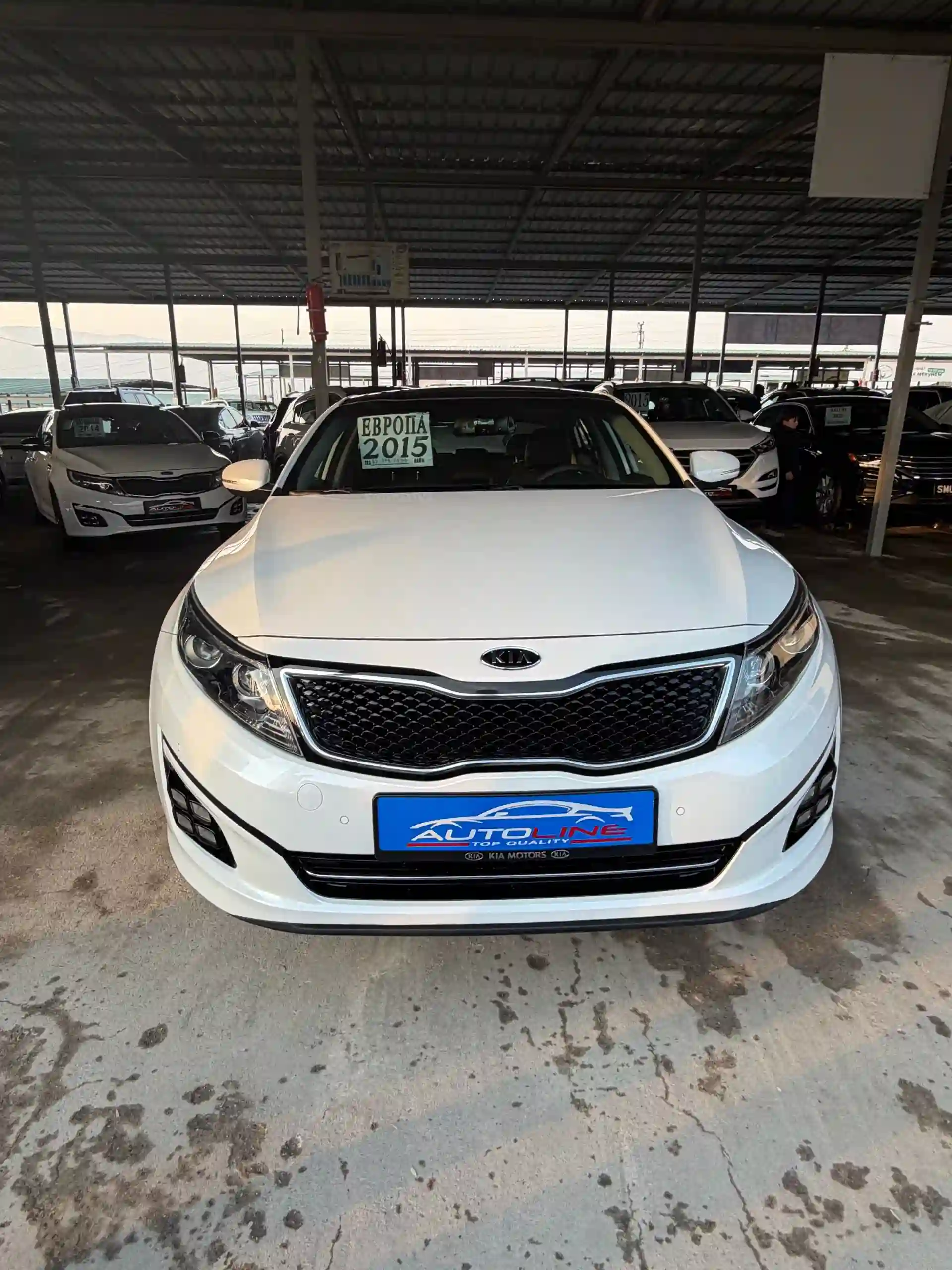 Kia K5 2015
