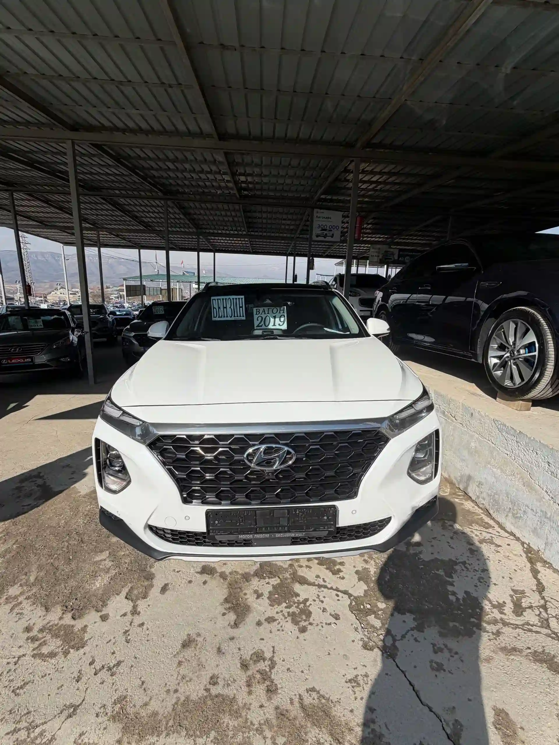 Hyundai Santa fe 2019