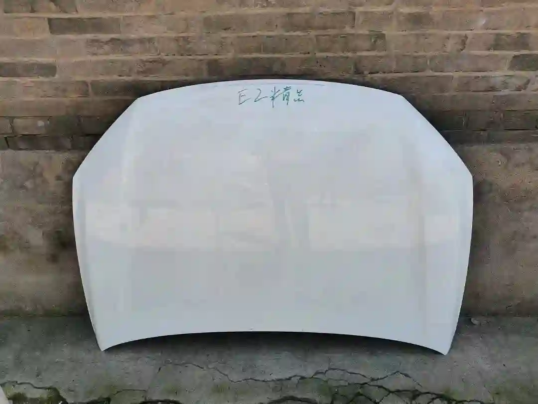капоти Byd e2 — миниатюра 1